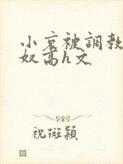 小哀被调教成肉奴高h文