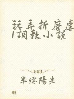 玩弄折磨虐女91调教小说