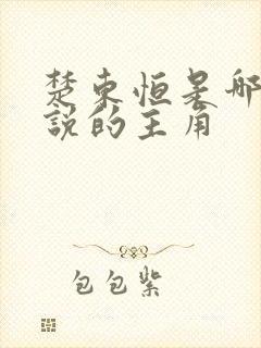 楚东恒是哪部小说的主角