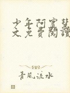 少年阿宾慧钰全文免费阅读