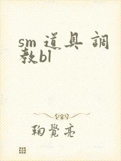sm 道具 调教bl