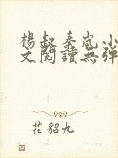 杨叔秦岚小说全文阅读无弹窗