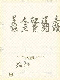 美人政道秦清小说免费阅读