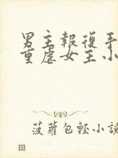 男主报复手段很重虐女主小说推荐