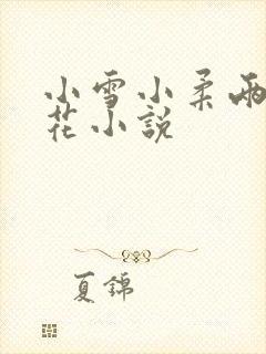 小雪小柔两大校花小说封面