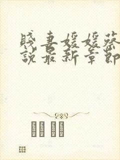 贱妻媛媛蔡叔小说最新章节更新