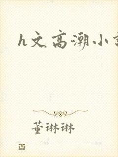 h文高潮小说封面