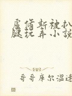 卢修斯被扒开双腿玩弄小说内容封面
