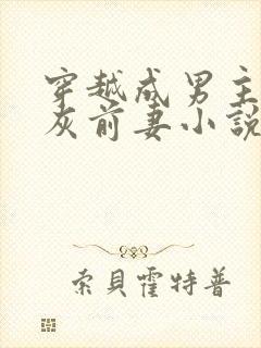 穿越成男主的炮灰前妻小说