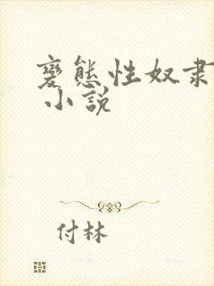 变态性奴隶调教 小说