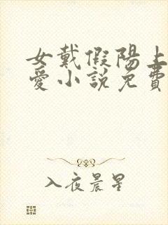 女戴假阳上男四爱小说免费阅读最新