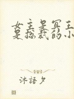 女主是冥王男主是总裁的小说