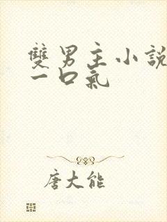 双男主小说推文一口气