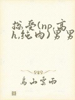 总受(np,高h,纯肉)男男文