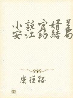 小说官婿美人图安江的结局