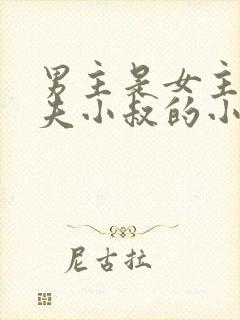 男主是女主未婚夫小叔的小说