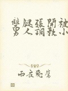 双腿张开被9个男人调教小说高h封面