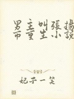 男主叫张扬的都市重生小说