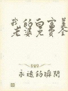 我的白富美总裁老婆免费全文阅读封面