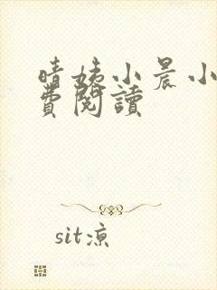 晴姨小晨小说免费阅读封面