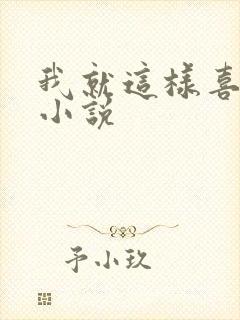 我就这样喜欢你小说