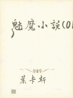 魅魔小说(01)