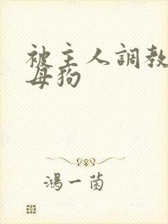 被主人调教的小母狗