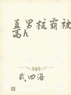 直男校霸被啪哭高h