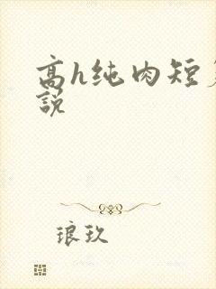 高h纯肉短篇小说