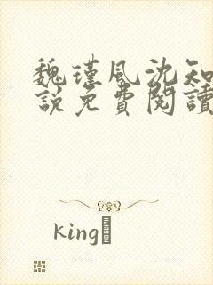 魏瑾风沈知玉小说免费阅读最新章节