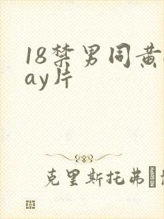 18禁男同黄gay片