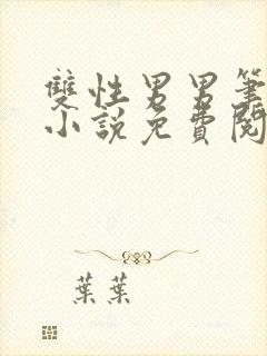 双性男男笔趣阁小说免费阅读封面