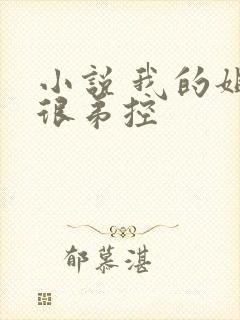 小说 我的姐姐很弟控