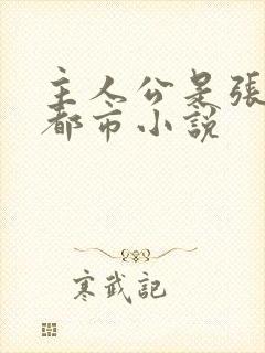 主人公是张凡的都市小说