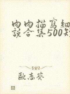 肉肉描写细致小说合集500短篇