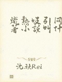 炽热吸引网剧原著小说叫什么