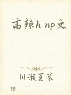 高辣h np文