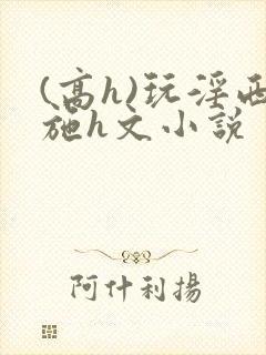 (高h)玩淫西施h文小说