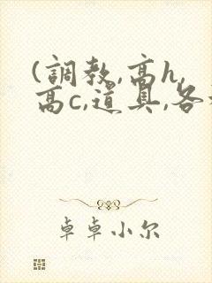 (调教,高h,高c,道具,各种play)小说