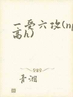 一受六攻(np高h)封面