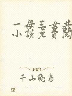 一母三女共一婿小说免费阅读