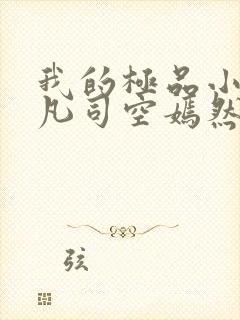 我的极品小姨叶凡司空嫣然小说