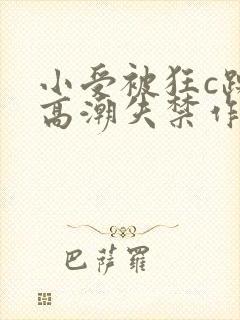 小受被狂c躁到高潮失禁作文