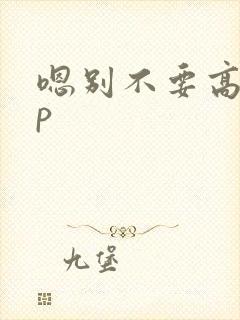 嗯别不要高hnp封面