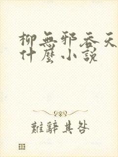 柳无邪吞天神鼎什么小说