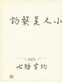 钓系美人小说封面