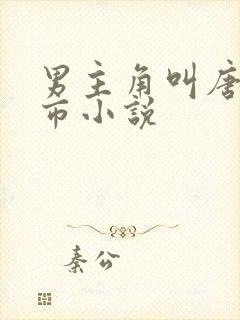 男主角叫唐枫都市小说