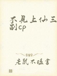 不见上仙三百年副cp