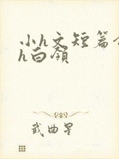 小h文短篇合集h白领封面