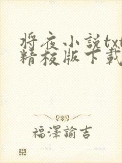 将夜小说txt精校版下载